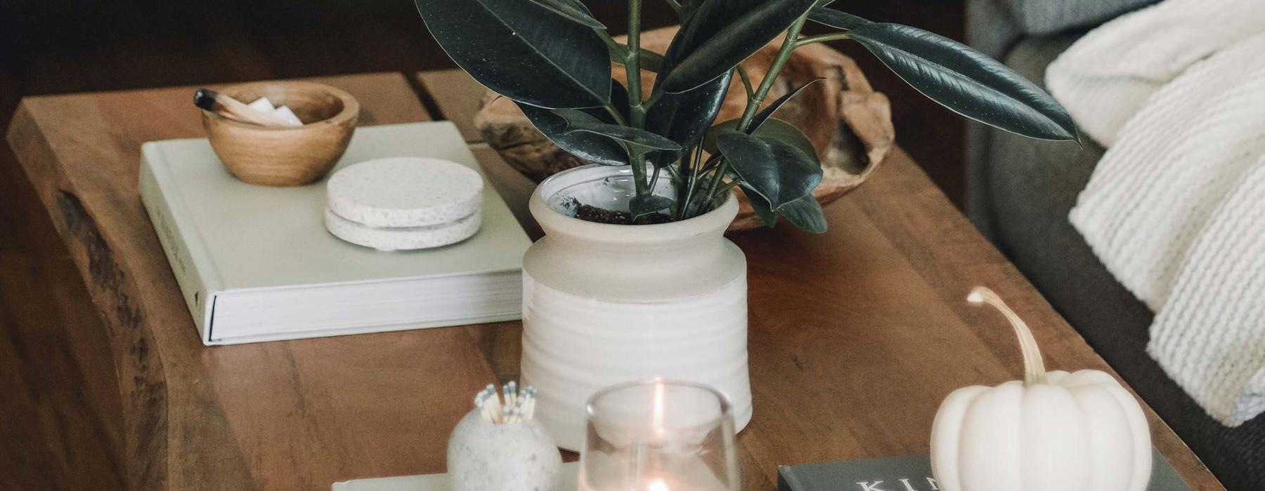 coffee table decorated with books, a potted plant, a candle and other knick-knacks